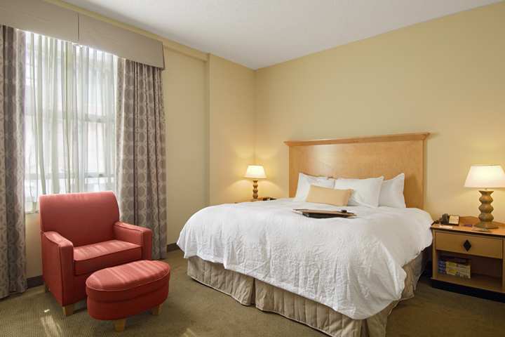Hampton Inn & Suites Atlanta-Downtown Zimmer foto